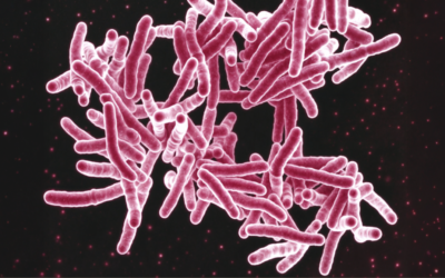 TB’s Alarming Resurgence: How COVID Disruptions Revived an Ancient Killer